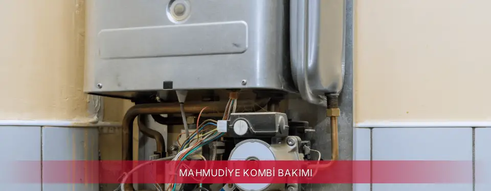 Mahmudiye İlçemi İmmergas Kombi Bakımı