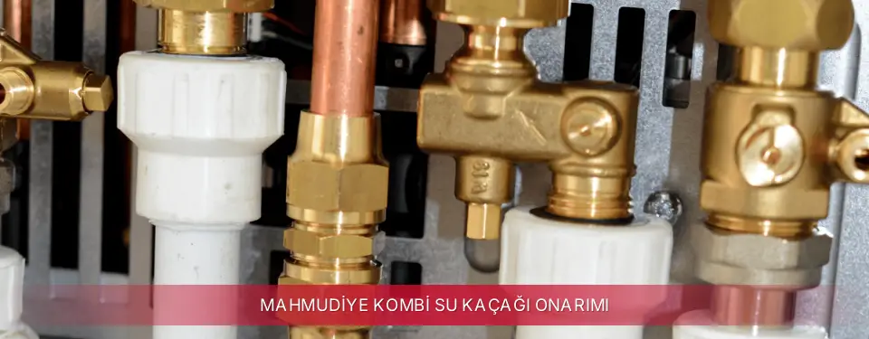 Mahmudiye İlçemi İmmergas Kombi Su Kaçağı Onarımı