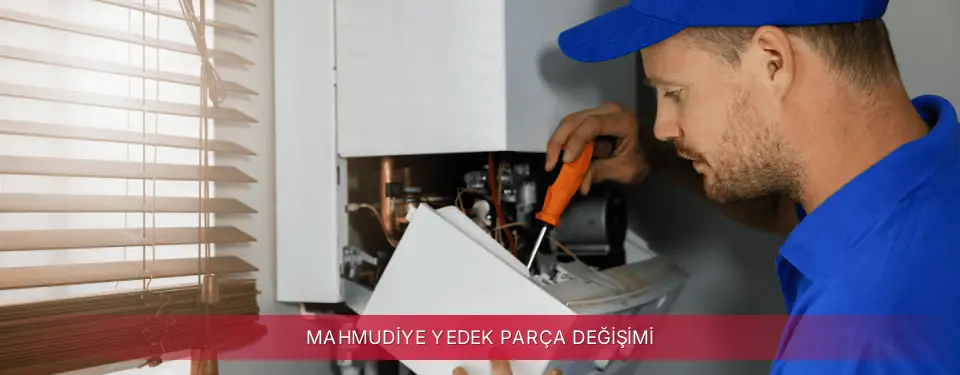 Mahmudiye İlçemi İmmergas Yedek Parça Değişimi